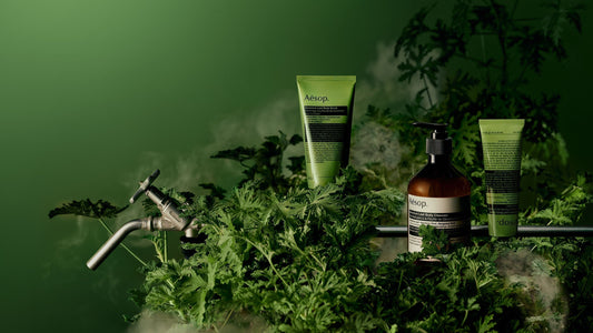 The story of the invention of Aesop’s Geranium Leaf Body Care range.