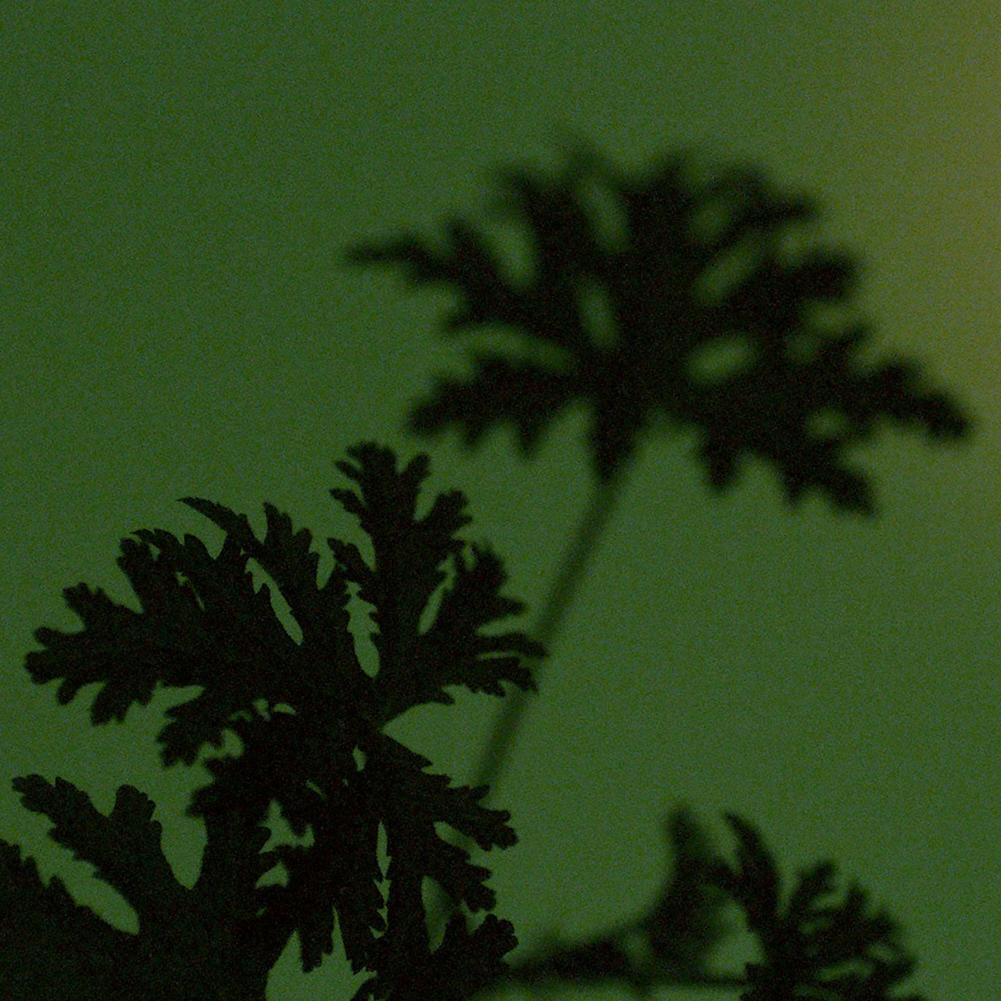 Party in the Greenhouse