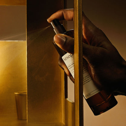 Dignity in the Lavatory