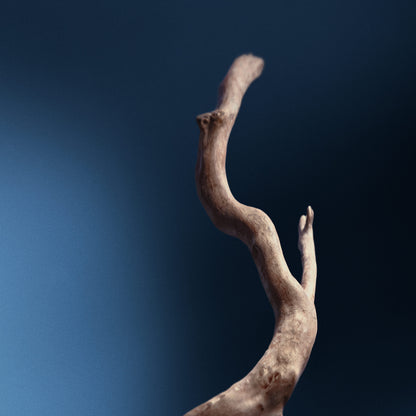 Resolute Facial Concentrate